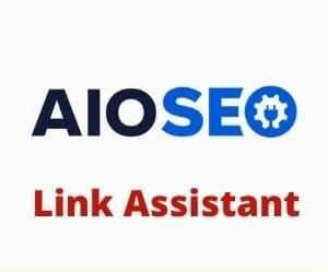 AIOSEO Link Assistant Addon GPL v1.1.11