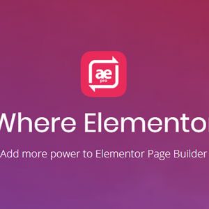 Anywhere Elementor Pro GPL v2.29.3
