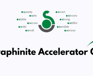 Seraphinite Accelerator GPL 2.29.13 | Activated