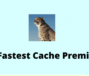 WP Fastest Cache Premium GPL v1.7.7 Latest Version