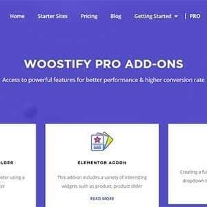 Woostify Pro Addons GPL v1.9.2 Latest Version