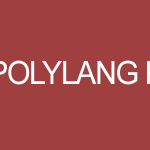 Polylang Pro GPL v3.8.6 Latest Version