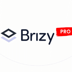 Brizy Pro GPL v2.8.3 – WP Page Builder | All Working Features