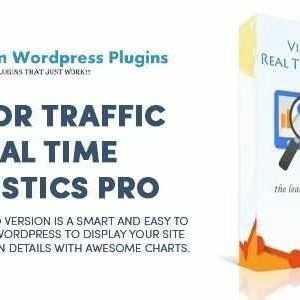 Visitor Traffic Real Time Statistics Pro GPL v11.8