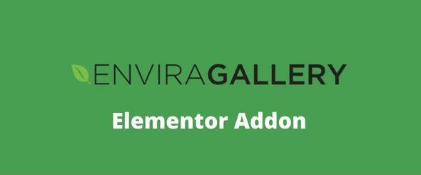 Envira Gallery Elementor Addon GPL v1.1.4 - Vprozone