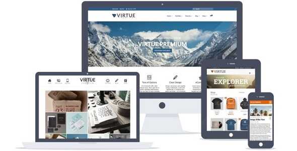 Kadence Virtue Premium Theme GPL v4.10.20