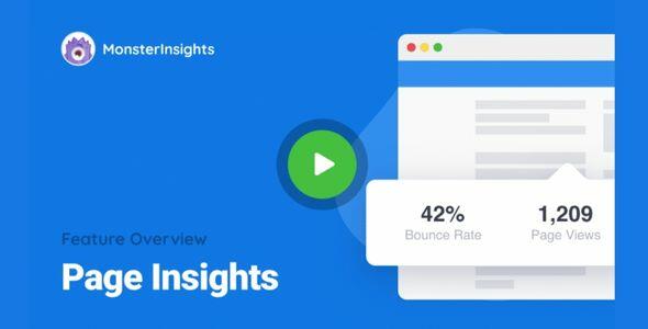 MonsterInsights AMP Page Insights Addon GPL v1.7.1