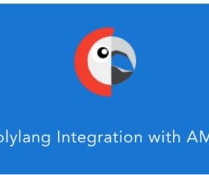 Polylang For AMP GPL v1.2.10