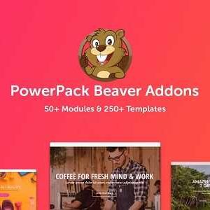 PowerPack Beaver Builder Addon GPL v2.42.3 Latest Version