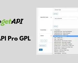 WPGetAPI Pro GPL v3.5.9 | The most powerful WordPress API plugin available