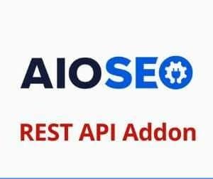 AIOSEO REST API Addon GPL v1.0.9