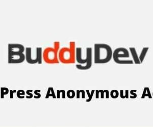 BuddyPress Anonymous Activity GPL v1.0.16