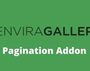 Envira Gallery Pagination Addon GPL v1.9.0