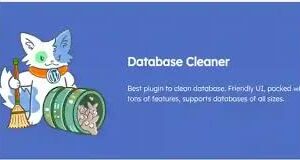 Meow Database Cleaner Pro GPL v1.3.7 – WordPress Plugin
