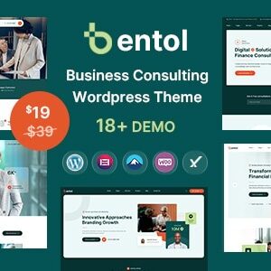 Bentol Theme GPL v1.0.4 – Business Consulting WordPress Theme
