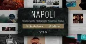 Napoli Theme GPL 2.4.9 Latest Version