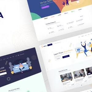 Skola Theme GPL v1.1.0 – LMS Online Courses WordPress Theme